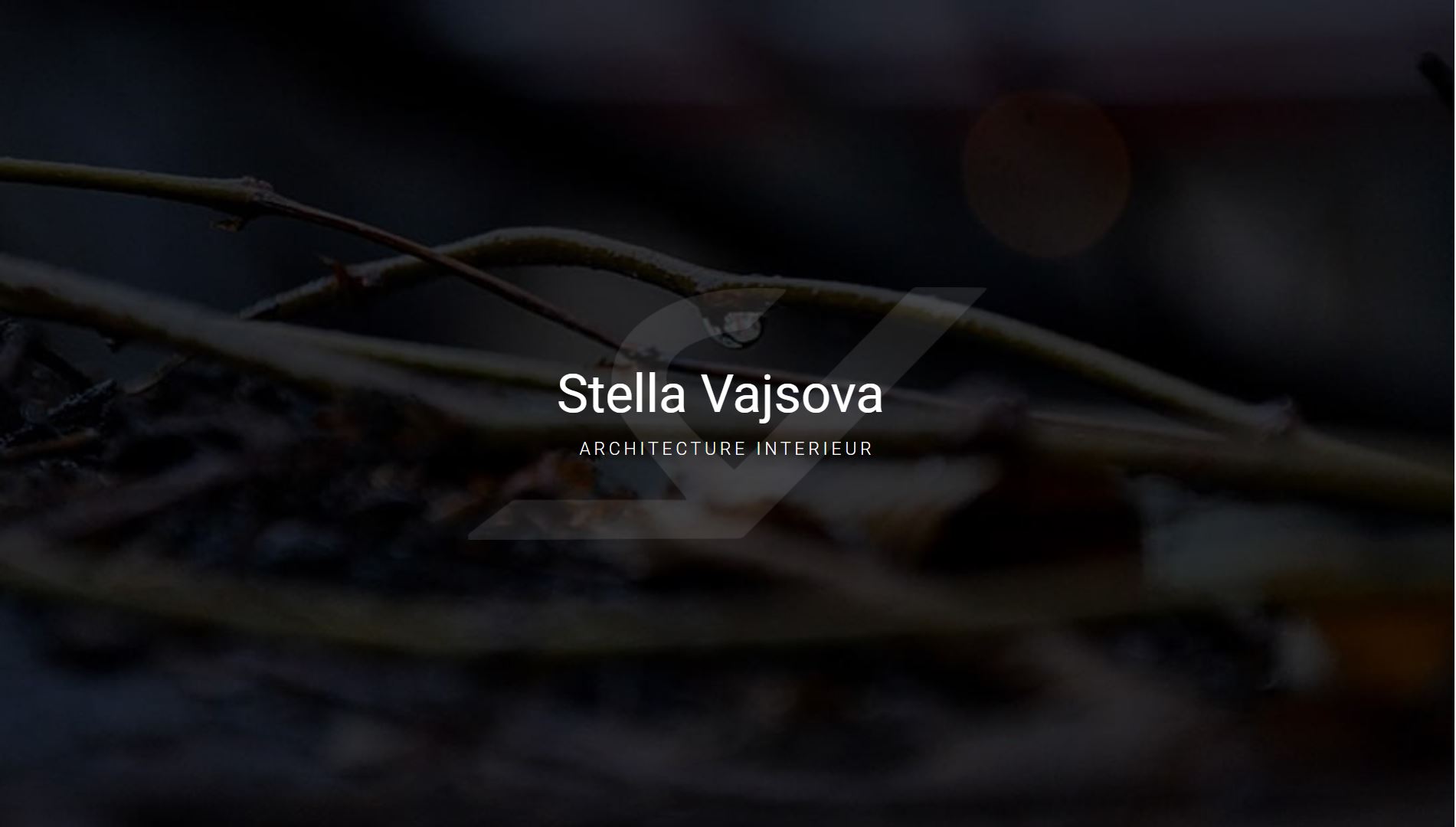 stellavajsova.com
